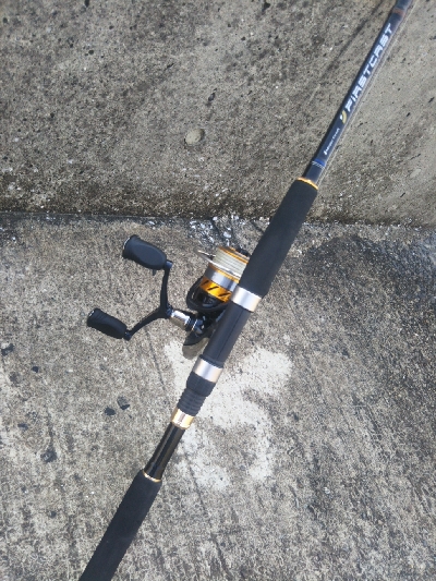 やっぱエサかぁ…