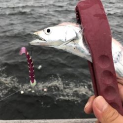 夕まずめ再アタック