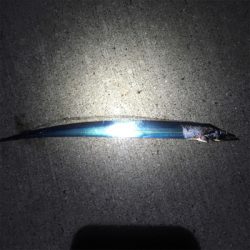 タチウオゲーム泉南好調