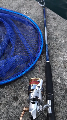 早朝ショアジギングで狙い通り・・・