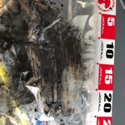 遠征エギング2日目in直江津ハッピー