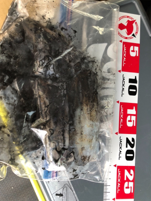 遠征エギング2日目in直江津ハッピー