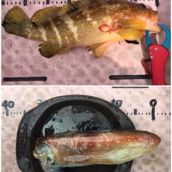 8目釣り！マイボート釣行