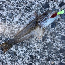 絶景に癒されました！