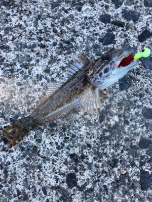 絶景に癒されました！