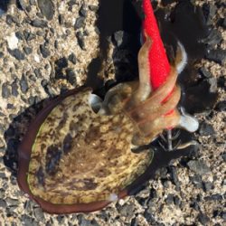 ベイト多数！でも…