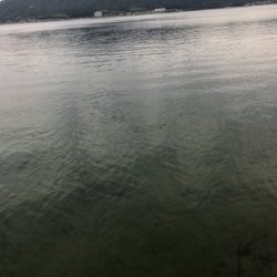 短時間エギング