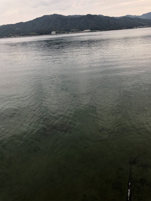 短時間エギング