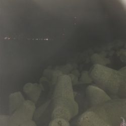 久々のライトゲーム 短時間