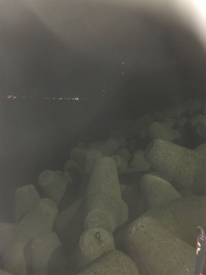 久々のライトゲーム 短時間