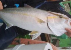 孝洋丸 落とし込み