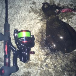 久々の納得釣行