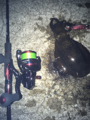 久々の納得釣行