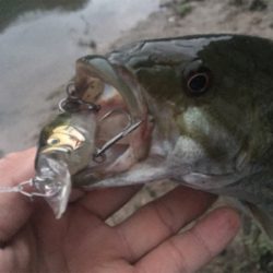 久しぶりのホーム釣行