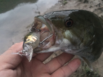 久しぶりのホーム釣行
