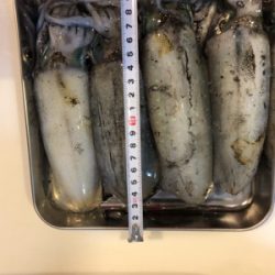 夜中にシャクシャク