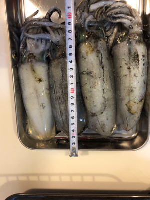 夜中にシャクシャク