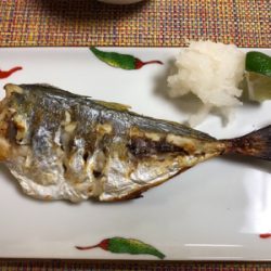 アジングでおかず狩り！