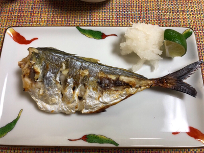 アジングでおかず狩り！