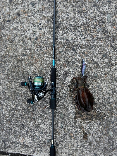 湾内でもよきよき！！