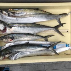 楽しかった釣行。