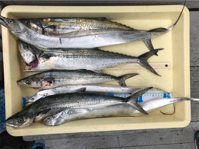 楽しかった釣行。