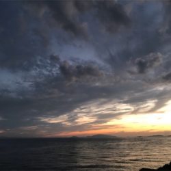 タチウオ釣りに行ったのに…