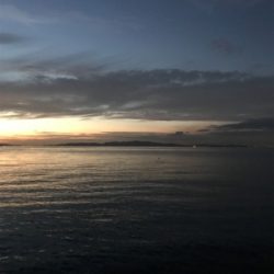 太刀魚は何処に？