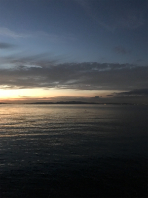 太刀魚は何処に？