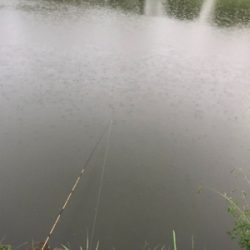 また落合公園にて