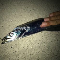 お手軽3種目成功！