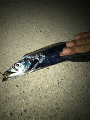 お手軽3種目成功！