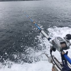 ジギングロッドを忘れて