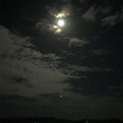 今年初エギング