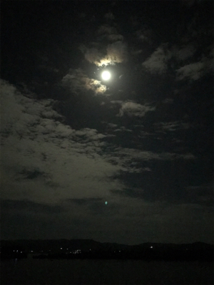 今年初エギング