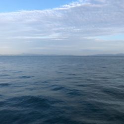 人混みのなかライトショアジギング