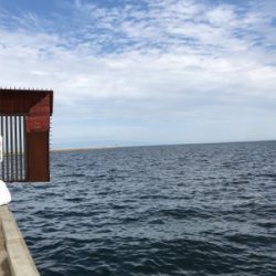 チャリコ入れ食いだ！