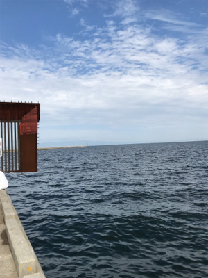 チャリコ入れ食いだ！