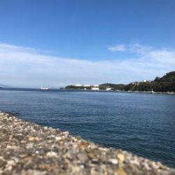 青物、タチウオ、シーバス狙い