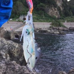 人多過ぎでしょ。