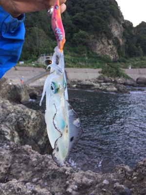 人多過ぎでしょ。