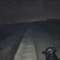 今年は太刀魚の当り年❗️