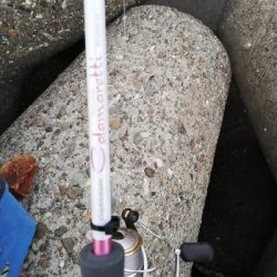 タチウオ狙いでしたが…