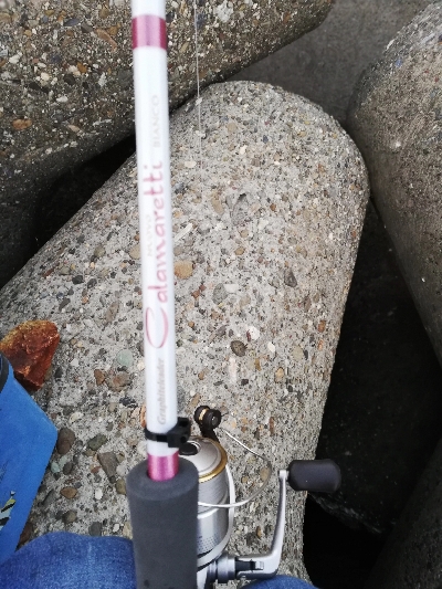 タチウオ狙いでしたが…