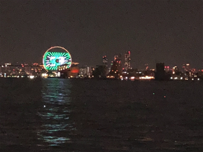 今年初のワインド