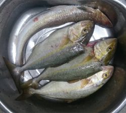 遠征したのに、、、