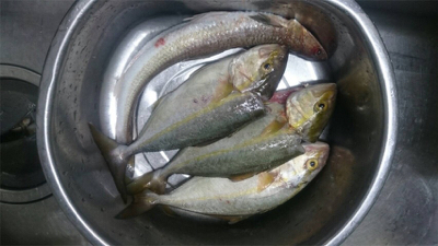 遠征したのに、、、