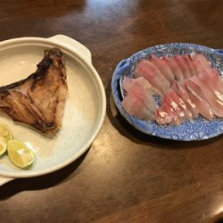 ジグでネリゴ。