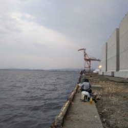 アジからのタチウオ