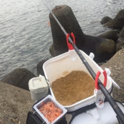 朝寝坊してよかった？